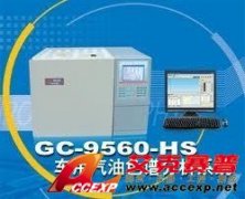 GC-9560車(chē)用汽油色譜系統(tǒng)